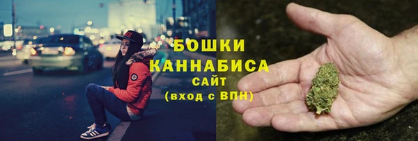 ПСИЛОЦИБИНОВЫЕ ГРИБЫ Лиски