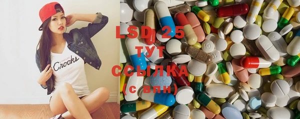 спиды Липки