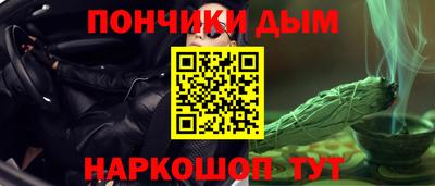 крисы Абакан