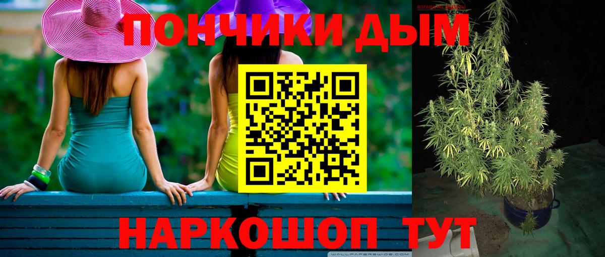 Бошки Шишки сатива Нефтеюганск